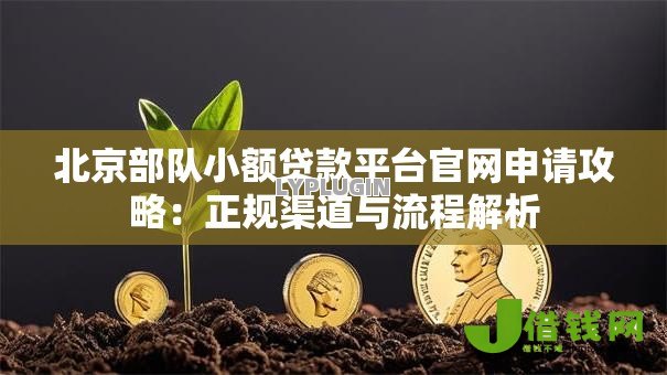 北京部队小额贷款平台官网申请攻略:正规渠道与流程解析 北京部队小额贷款平台官网申请攻略:正规渠道与流程解析