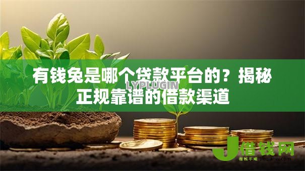 有钱兔是哪个贷款平台的？揭秘正规靠谱的借款渠道