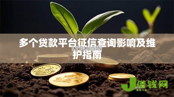 多个贷款平台征信查询影响及维护指南 多个贷款平台征信查询影响及维护指南