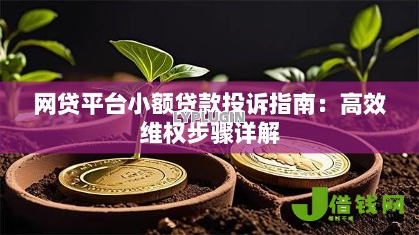 网贷平台小额贷款投诉指南:高效维权步骤详解 网贷平台小额贷款投诉指南:高效维权步骤详解