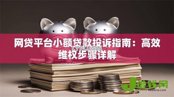 网贷平台小额贷款投诉指南:高效维权步骤详解 网贷平台小额贷款投诉指南:高效维权步骤详解