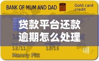 贷款平台还款逾期怎么处理?实用解决指南 贷款平台还款逾期怎么处理?实用解决指南