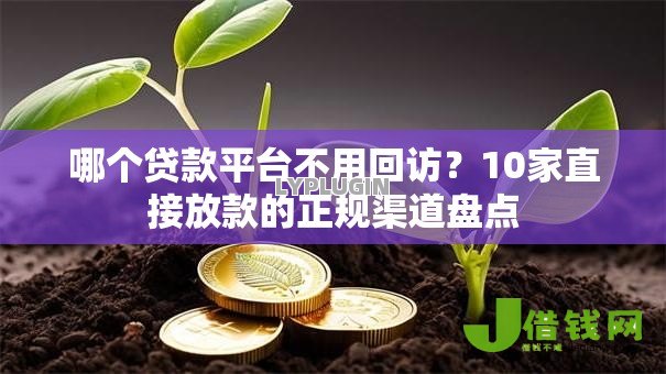 哪个贷款平台不用回访?10家直接放款的正规渠道盘点 哪个贷款平台不用回访?10家直接放款的正规渠道盘点