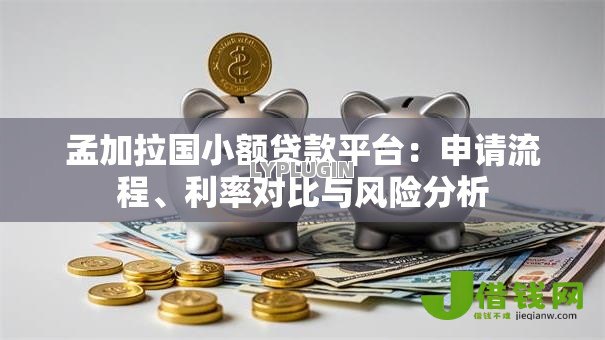 孟加拉国小额贷款平台：申请流程、利率对比与风险分析