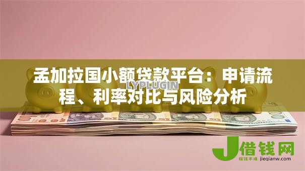 孟加拉国小额贷款平台：申请流程、利率对比与风险分析