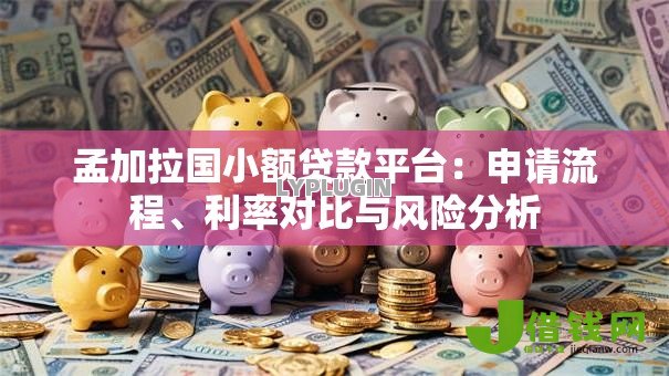 孟加拉国小额贷款平台：申请流程、利率对比与风险分析