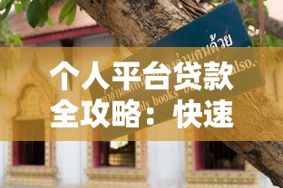 个人平台贷款全攻略：快速下款与避坑指南