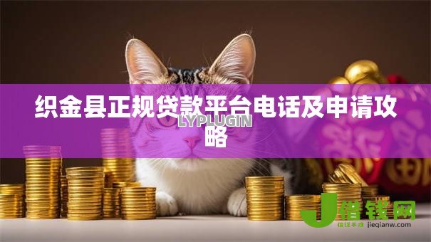 织金县正规贷款平台电话及申请攻略