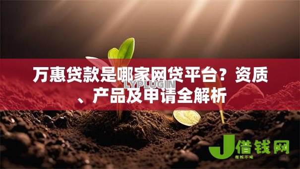 万惠贷款是哪家网贷平台？资质、产品及申请全解析