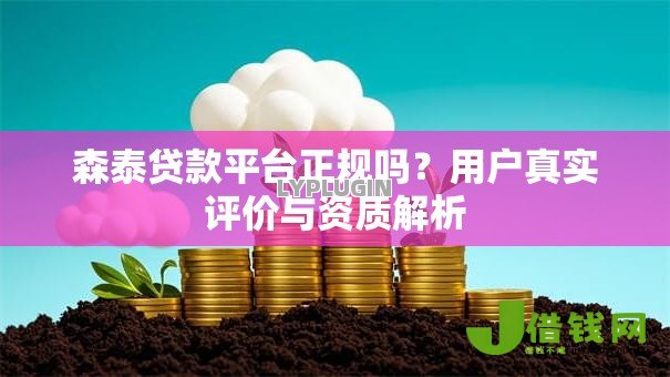 森泰贷款平台正规吗?用户真实评价与资质解析 森泰贷款平台正规吗?用户真实评价与资质解析