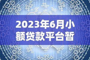 2023年6月小额贷款平台暂停服务原因及应对策略分析