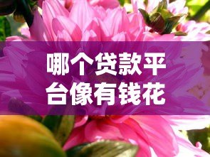 哪个贷款平台像有钱花?这8个靠谱选择值得一试 哪个贷款平台像有钱花?这8个靠谱选择值得一试