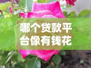 哪个贷款平台像有钱花?这8个靠谱选择值得一试 哪个贷款平台像有钱花?这8个靠谱选择值得一试