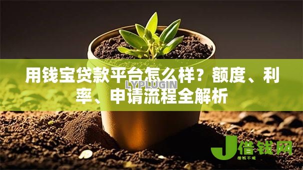 用钱宝贷款平台怎么样?额度、利率、申请流程全解析 用钱宝贷款平台怎么样?额度、利率、申请流程全解析