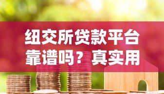 纽交所贷款平台靠谱吗？真实用户评价与避坑指南