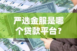 严选金服是哪个贷款平台?全面解析其贷款产品与资质 严选金服是哪个贷款平台?全面解析其贷款产品与资质