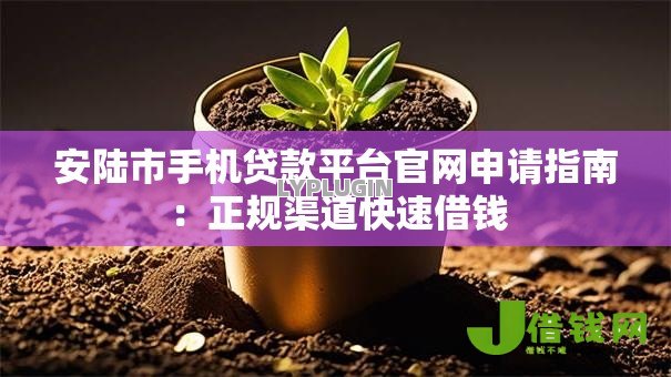 安陆市手机贷款平台官网申请指南：正规渠道快速借钱