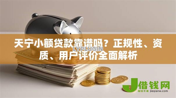 天宁小额贷款靠谱吗？正规性、资质、用户评价全面解析