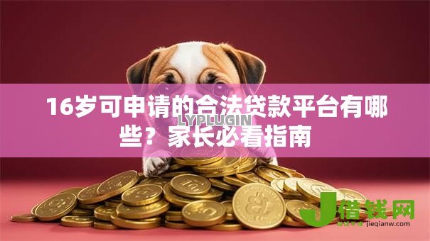 16岁可申请的合法贷款平台有哪些?家长必看指南 16岁可申请的合法贷款平台有哪些?家长必看指南