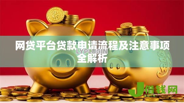 网贷平台贷款申请流程及注意事项全解析