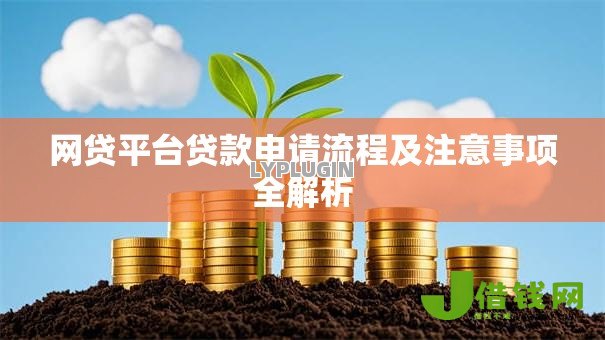 网贷平台贷款申请流程及注意事项全解析