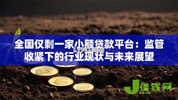 全国仅剩一家小额贷款平台：监管收紧下的行业现状与未来展望