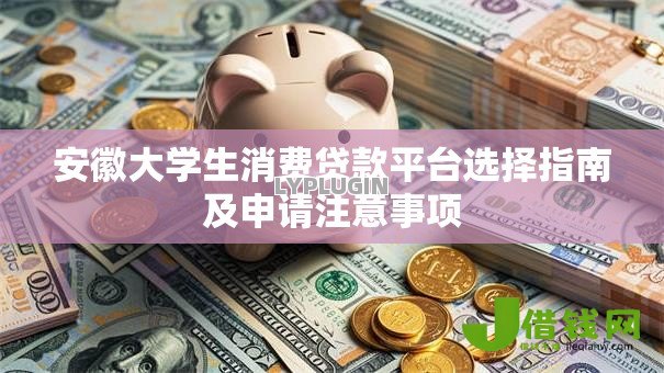 安徽大学生消费贷款平台选择指南及申请注意事项 安徽大学生消费贷款平台选择指南及申请注意事项