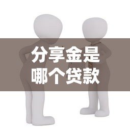 分享金是哪个贷款平台？真实解析与使用攻略
