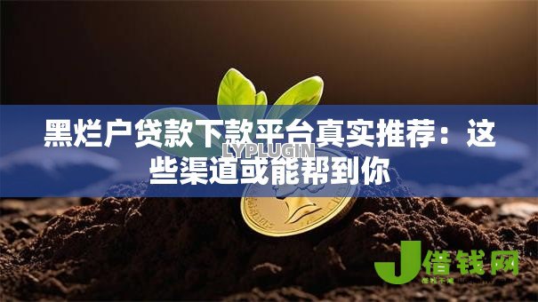 黑烂户贷款下款平台真实推荐:这些渠道或能帮到你 黑烂户贷款下款平台真实推荐:这些渠道或能帮到你