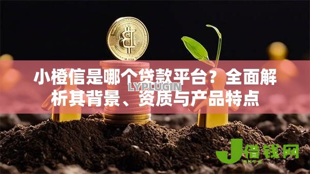 小橙信是哪个贷款平台？全面解析其背景、资质与产品特点
