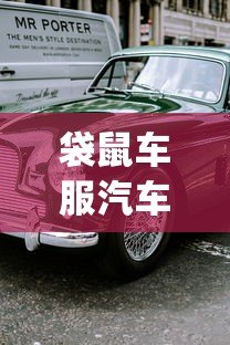 袋鼠车服汽车贷款平台App:低息快审购车方案解析 袋鼠车服汽车贷款平台App:低息快审购车方案解析