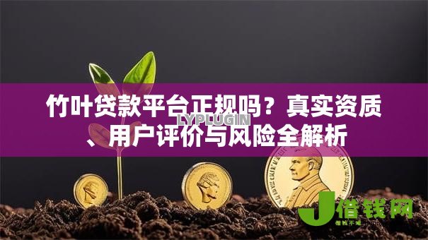 竹叶贷款平台正规吗？真实资质、用户评价与风险全解析