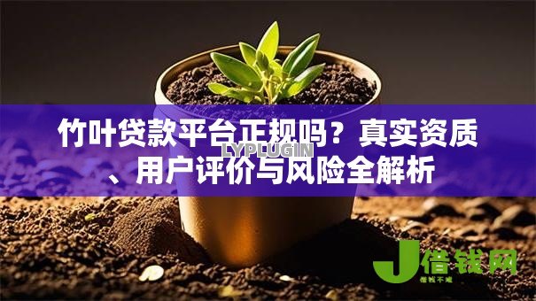 竹叶贷款平台正规吗？真实资质、用户评价与风险全解析