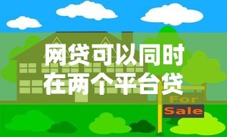 网贷可以同时在两个平台贷款吗?风险与应对策略 网贷可以同时在两个平台贷款吗?风险与应对策略