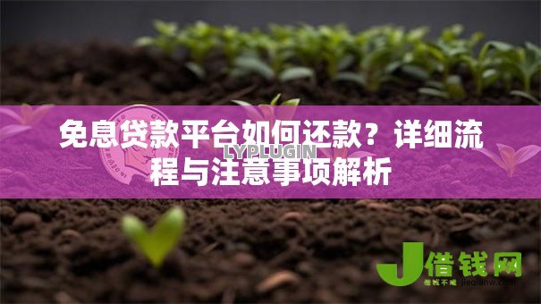 免息贷款平台如何还款?详细流程与注意事项解析 免息贷款平台如何还款?详细流程与注意事项解析