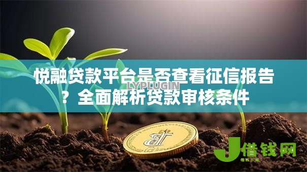 悦融贷款平台是否查看征信报告?全面解析贷款审核条件 悦融贷款平台是否查看征信报告?全面解析贷款审核条件