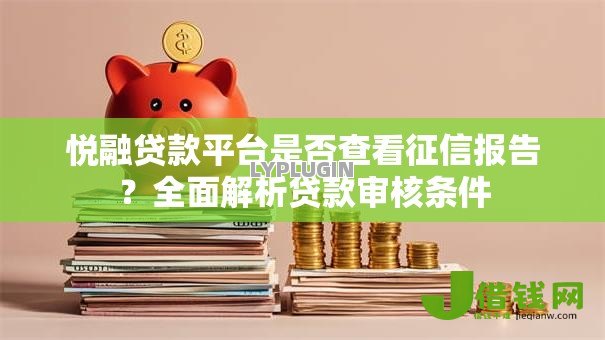 悦融贷款平台是否查看征信报告?全面解析贷款审核条件 悦融贷款平台是否查看征信报告?全面解析贷款审核条件