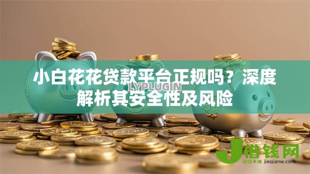 小白花花贷款平台正规吗?深度解析其安全性及风险 小白花花贷款平台正规吗?深度解析其安全性及风险