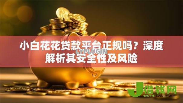小白花花贷款平台正规吗?深度解析其安全性及风险 小白花花贷款平台正规吗?深度解析其安全性及风险