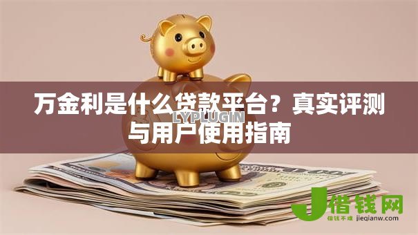 万金利是什么贷款平台？真实评测与用户使用指南
