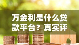 万金利是什么贷款平台？真实评测与用户使用指南
