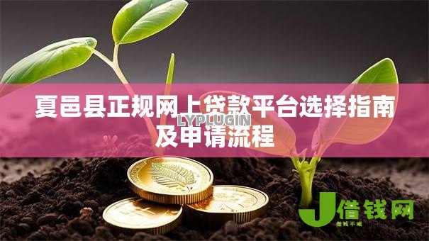 夏邑县正规网上贷款平台选择指南及申请流程 夏邑县正规网上贷款平台选择指南及申请流程