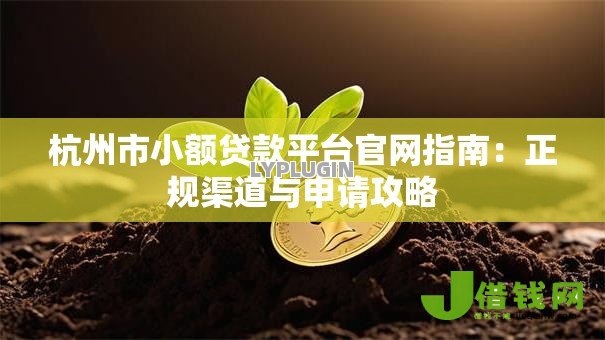 杭州市小额贷款平台官网指南：正规渠道与申请攻略