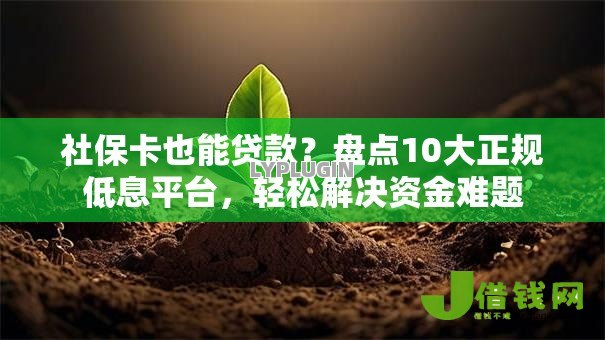 社保卡也能贷款？盘点10大正规低息平台，轻松解决资金难题