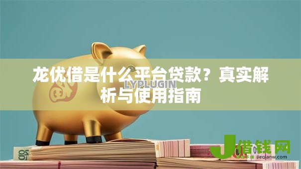 龙优借是什么平台贷款？真实解析与使用指南