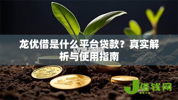 龙优借是什么平台贷款？真实解析与使用指南