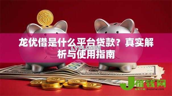 龙优借是什么平台贷款？真实解析与使用指南