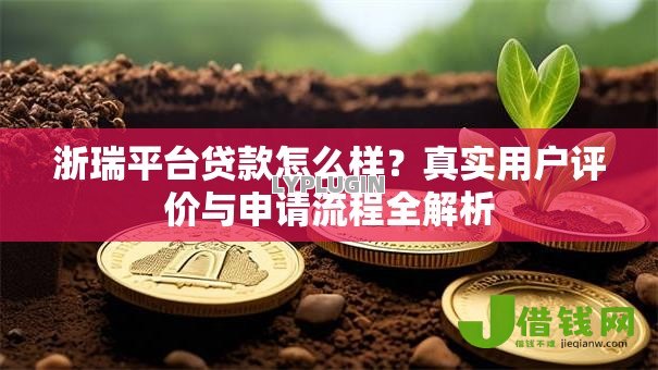 浙瑞平台贷款怎么样？真实用户评价与申请流程全解析