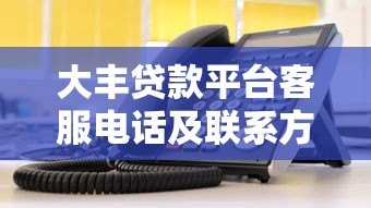 大丰贷款平台客服电话及联系方式查询指南 大丰贷款平台客服电话及联系方式查询指南