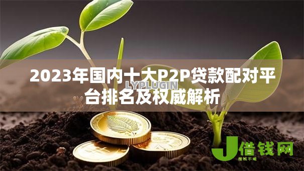 2023年国内十大P2P贷款配对平台排名及权威解析